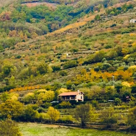 La Seguirilla del Jerte-3